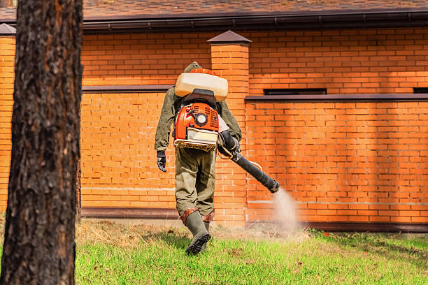 Trusted Bed Bug Control service in Scottsville, NY - Nex Pest Control